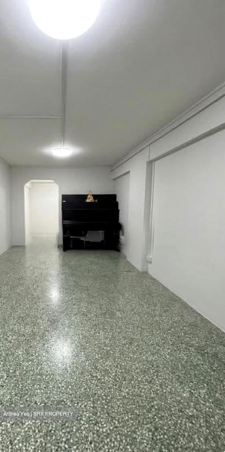 Blk 166 Stirling View (Queenstown), HDB 3 Rooms #632923461